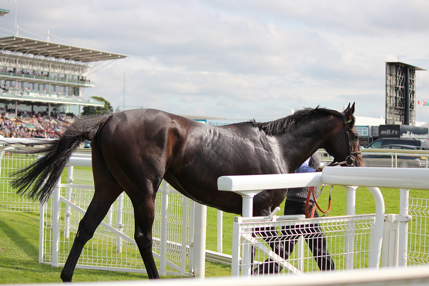 Syndicate Ownership