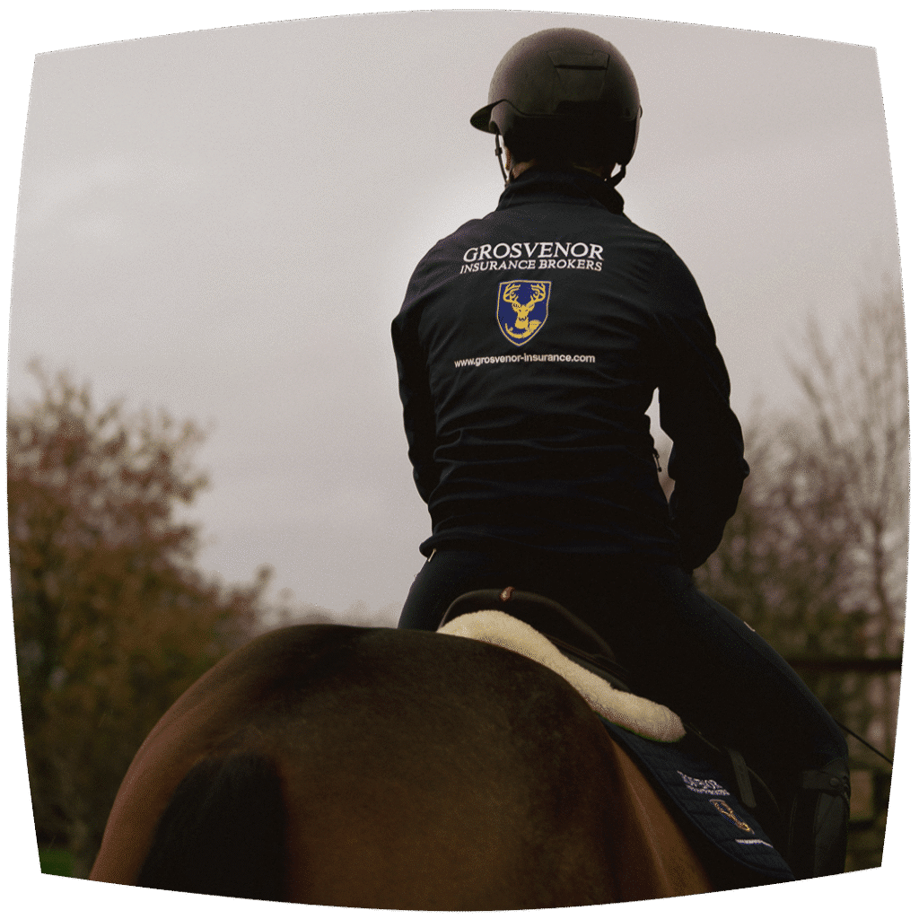 equine insurance